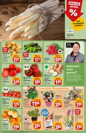 Kartoffeln Angebote im Prospekt "Dein Markt" von REWE auf Seite 7