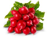 Deutsche Radieschen im Angebot bei Penny-Markt in Voerde Deutsche Radieschen Angebote von Marktliebe bei Penny-Markt Voerde für 0,44 €