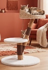 arbre à Chat avec couchage dans le catalogue Gifi