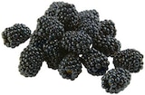 REWE Elsdorf - Brombeeren Angebot im Prospekt Brombeeren bei REWE im Elsdorf Prospekt für 1,99 €
