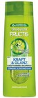 Shampoo von Garnier Fructis für 3,45 € bei Lidl im Angebot Shampoo von Garnier Fructis im aktuellen Lidl Prospekt