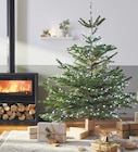 Promo Sapin naturel, hauteur 150/180 cm à 27,90 € dans le catalogue Castorama à Les Pennes-Mirabeau