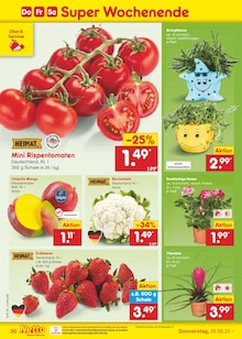 Erdbeeren im Netto Marken-Discount Prospekt "Aktuelle Angebote" mit 59 Seiten (Potsdam)