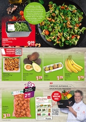 Aktueller Selgros Prospekt mit Pilze, "cash & carry", Seite 3