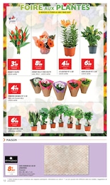 Offre Aménagement Extérieur dans le catalogue Netto du moment à la page 12