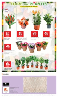 Promotion Bricolage dans le prospectus Netto, valable du 24/02/2026 au 02/03/2026 Promo Bricolage dans le catalogue Netto du moment à la page 12