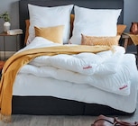 Aktuelle Bett Angebote bei BRAUN Möbel-Center in Reutlingen Aktuelles Betten-Set Angebot bei BRAUN Möbel-Center in Reutlingen ab 79,95 €
