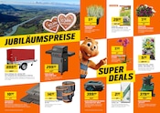 Akku Rasenmäher im OBI Prospekt in Rosenheim Aktueller OBI Prospekt mit Akku Rasenmäher, "Jubiläumsausgabe September 2026", Seite 3