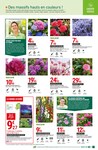 Plantes Et Fleurs Plantes Et Fleurs