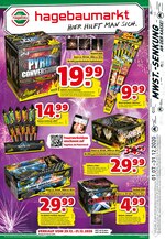 Hagebaumarkt Prospekt für Neuss mit 4 Seiten Hagebaumarkt Prospekt für Neuss: "Feuerwerk", 4 Seiten, 03.12.2020 - 30.12.2020