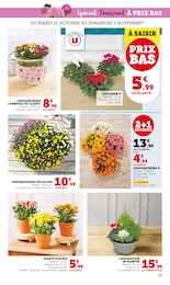 Prix et réduction Plante D'intérieur dans le prospectus Super U en cours Offre Plante D'intérieur dans le catalogue Super U du moment à la page 25