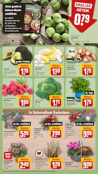 Pflanzen im aktuellen REWE Prospekt (Jena) Pflanzen im REWE Prospekt "Dein Markt" mit 28 Seiten (Jena)