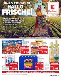 Kaufland Prospekt: "UNSERE MEGA ANGEBOTE", 54 Seiten, 13.02.2025 - 19.02.2025