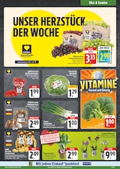 Pflanzen im EDEKA Prospekt in Suhl Aktueller EDEKA Prospekt mit Pflanzen, "Wir lieben Lebensmittel!", Seite 7