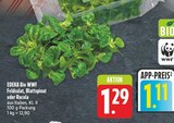 Aktuelles Feldsalat Angebot bei EDEKA in Nürnberg ab 1,11 €