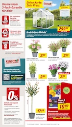 toom Baumarkt Pflanzerde im Prospekt 