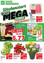 Kaufland Prospekt für Salzgitter mit 48 Seiten Kaufland Prospekt für Salzgitter: "ECHT MEGA BILLIG", 48 Seiten, 26.10.2020 - 28.10.2020