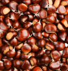 Promo Marrons Bouche de Bétizac à 4,59 € dans le catalogue Norma à Riedisheim