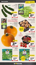 Tomaten im EDEKA Prospekt in Warendorf Aktueller EDEKA Prospekt mit Tomaten, "Aktuelle Angebote", Seite 5
