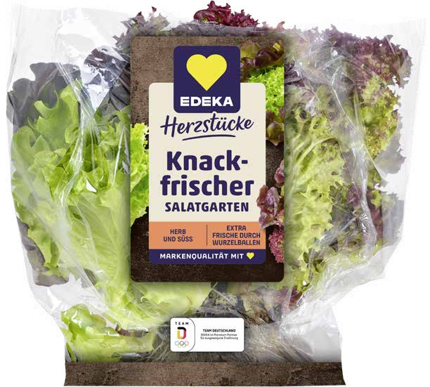 Blatt-salat-Mix im Angebot bei E center in Heidelberg Blatt-salat-Mix Angebote von EDEKA bei E center Heidelberg für 0,99 €