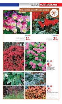 Promotion Plante D'intérieur dans le prospectus Super U, valable du 15/09/2026 au 27/09/2026 Promo Plante D'intérieur dans le catalogue Super U du moment à la page 3