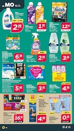 Dash Angebot im aktuellen Netto mit dem Scottie Prospekt auf Seite 14