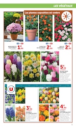 Prix et réduction Tulipes dans le prospectus Super U en cours Offre Tulipes dans le catalogue Super U du moment à la page 5