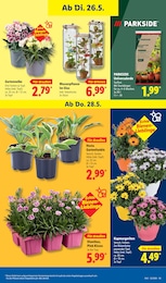 Lidl Humus im Prospekt Lidl Humus im Prospekt