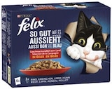 Aktuelles Katzennahrung Angebot bei REWE in Hamm ab 3,99 €