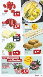 Kohle im famila Nordwest Prospekt in Oldenburg Aktueller famila Nordwest Prospekt mit Kohle, "Markt - Angebote", Seite 5
