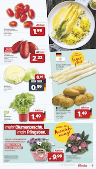 Gemüse im famila Nordwest Prospekt "Markt - Angebote" mit 47 Seiten (Oldenburg)