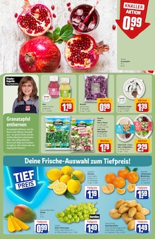 Salat im aktuellen REWE Prospekt (Nürnberg) Salat im REWE Prospekt "Dein Markt" mit 34 Seiten (Nürnberg)