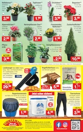 Gartenerde im Zimmermann Prospekt in Hannover Aktueller Zimmermann Prospekt mit Gartenerde, "Aktuelle Angebote", Seite 10