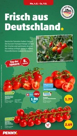 Tomaten im Penny Prospekt in Minden Aktueller Penny Prospekt mit Tomaten, "Wer günstig will, muss Penny.", Seite 4
