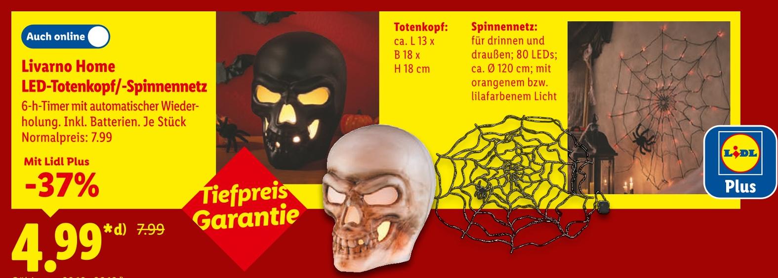 Spinnennetz