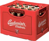 Budvar Czech. Lagerbier Angebote von Budweiser bei aktiv & irma Oldenburg für 12,99 €