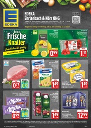 EDEKA Prospekt für Wertheim: "Wir lieben Lebensmittel!", 28 Seiten, 08.12.2025 - 13.12.2025