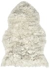 Aktuelles Teppich Angebot bei Rusta in Jena ab 5,00 €