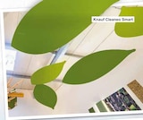 i&M BauCentrum Tagewerben - Cleaneo Smart – vielseitig für Wand und Deckу Angebot im Prospekt Cleaneo Smart – vielseitig für Wand und Deckу bei i&M BauCentrum im Tagewerben Prospekt für