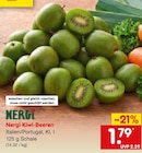 Nergi Kiwi-Beeren im Angebot bei Netto Marken-Discount in Oberhausen Nergi Kiwi-Beeren Angebote von MERGI bei Netto Marken-Discount Oberhausen für 1,79 €
