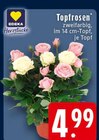 Topfrosen bei EDEKA im Herne Prospekt für 4,99 €