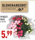 Angebot im Marktkauf Köln Prospekt Marktkauf Köln Prospekt mit im Angebot für 5,99 €