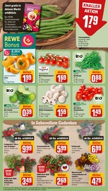 Pflanzen im REWE Prospekt in Meerbusch Aktueller REWE Prospekt mit Pflanzen, "Dein Markt", Seite 9