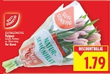 Tulpen bei E center im Berlin Prospekt für 1,79 €