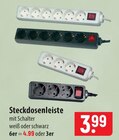 Steckdosenleiste mit Schalter im Angebot bei famila Nordost in Falkensee Steckdosenleiste mit Schalter Angebote bei famila Nordost Falkensee für 3,99 €