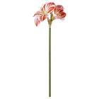 Kunstblume drinnen/draußen Amaryllis/rot weiß im Angebot bei IKEA in Eberswalde Kunstblume drinnen/draußen Amaryllis/rot weiß Angebote von VINTERFINT bei IKEA Eberswalde für 3,49 €
