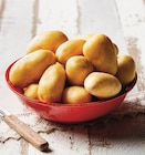 Pomme de terre à chair ferme nouvelle récolte en promo chez U Express Trappes à 2,50 €
