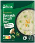 Feinschmecker Suppe im Angebot bei Netto mit dem Scottie in Eberswalde Feinschmecker Suppe Angebote von Knorr bei Netto mit dem Scottie Eberswalde für 0,79 €