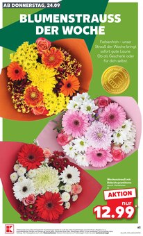 Blumen im aktuellen Kaufland Prospekt (Nürnberg) Blumen im Kaufland Prospekt "Hier bin ich richtig" mit 82 Seiten (Nürnberg)