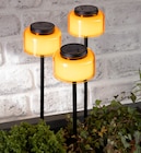 Solar-Gartenstecker Angebote bei Rossmann Speyer für 9,99 €